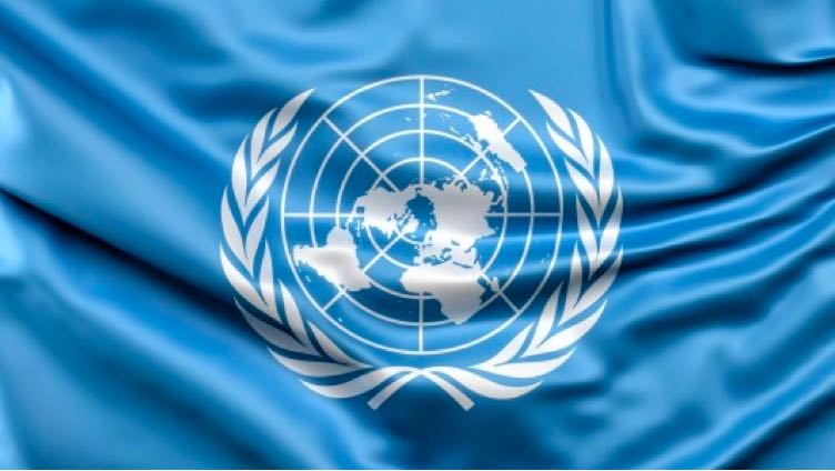 United Nations 101