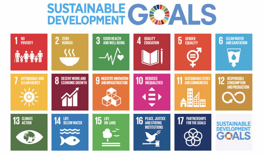 sustainable development goals infographic