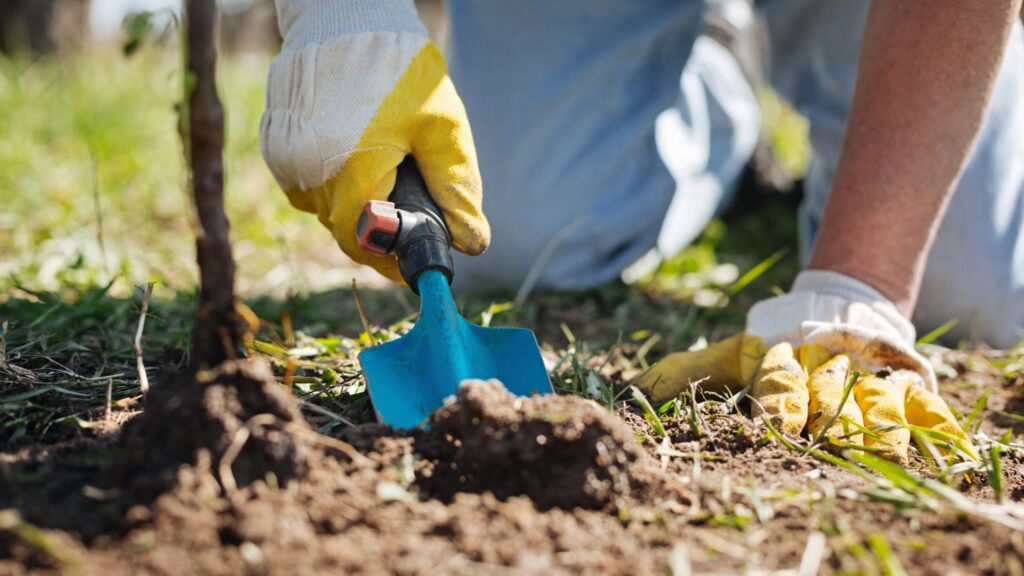 Gardening