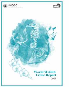 Read the 2024 UNODC World Wildlife Crime Report